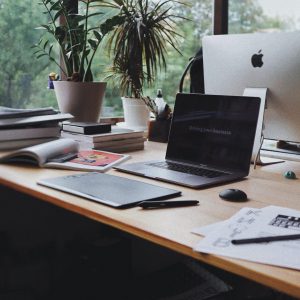 The Business Goldmine Course